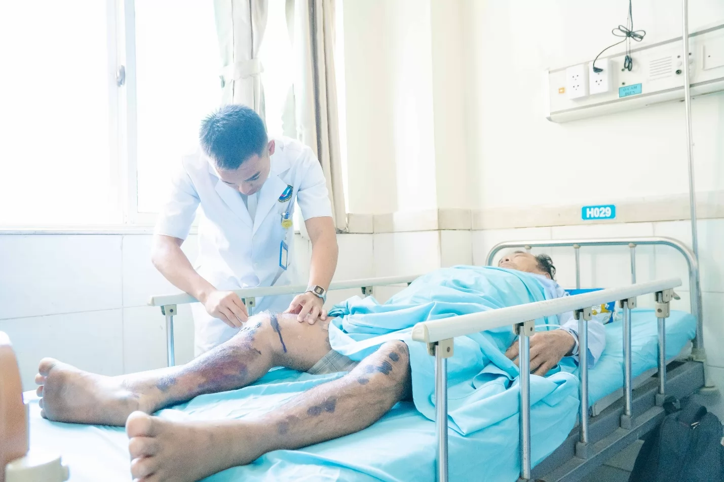 Ảnh minh họa 2