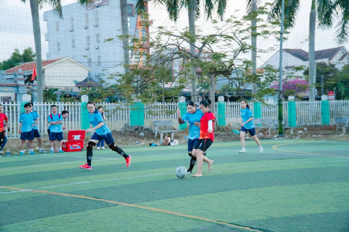 Ảnh minh họa 2