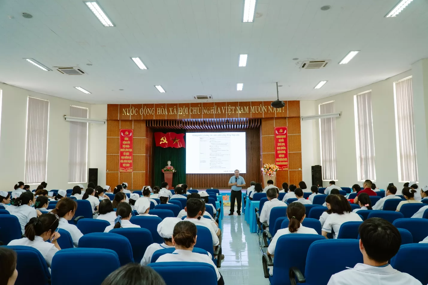 Ảnh minh họa 12