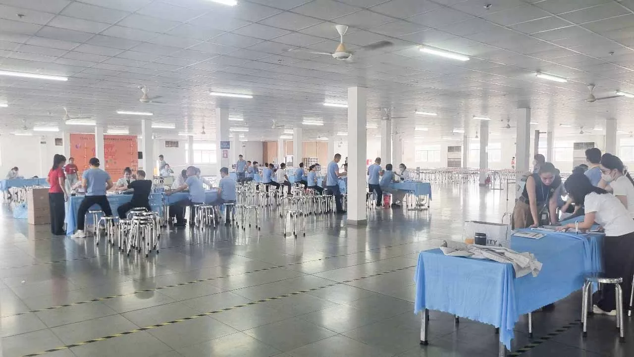 Ảnh minh họa 8