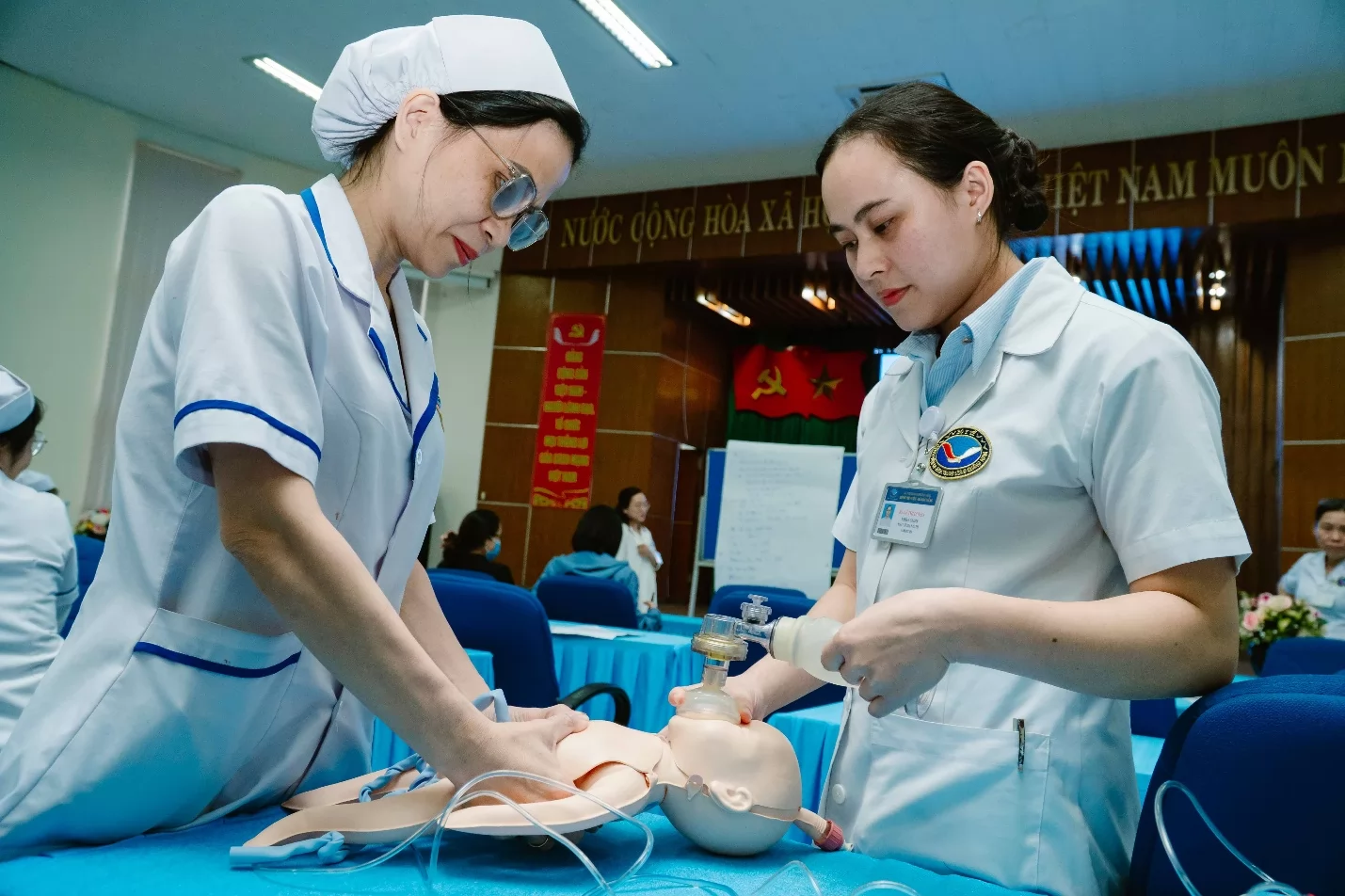Ảnh minh họa 5