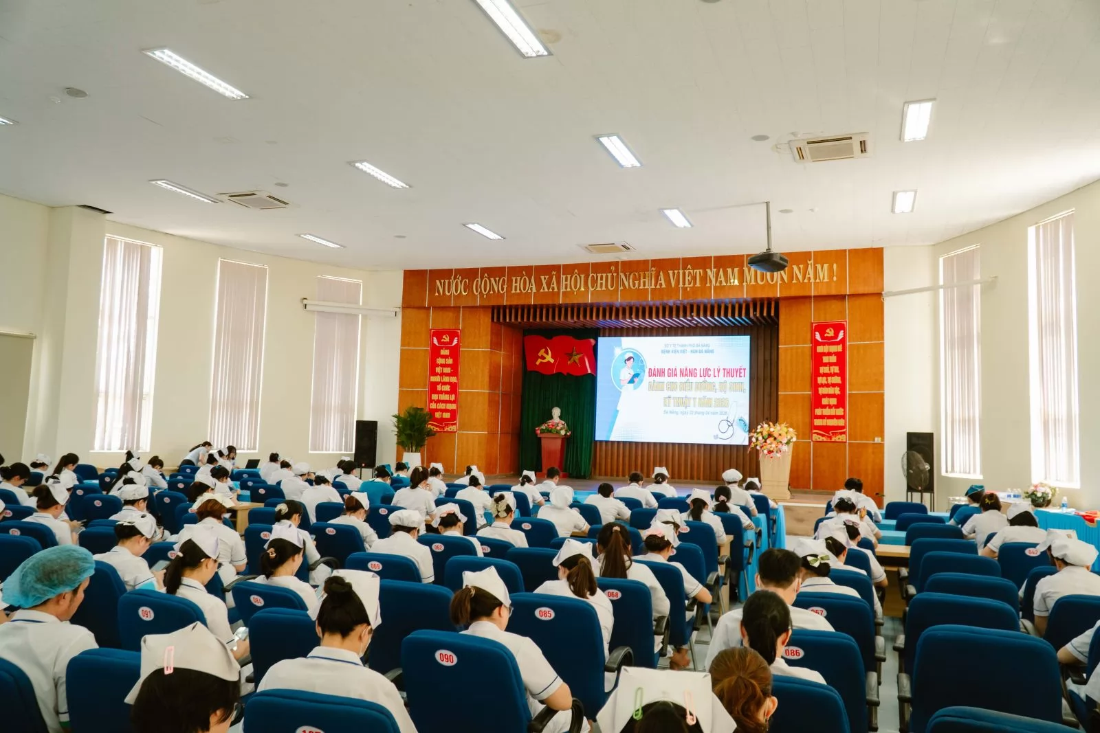 Ảnh minh họa 5