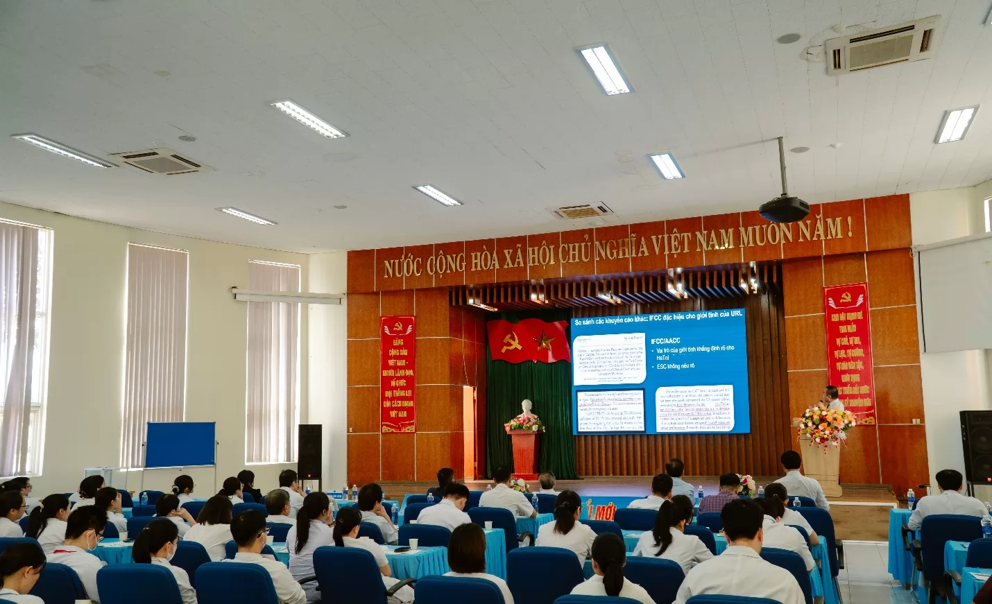 Ảnh minh họa 14