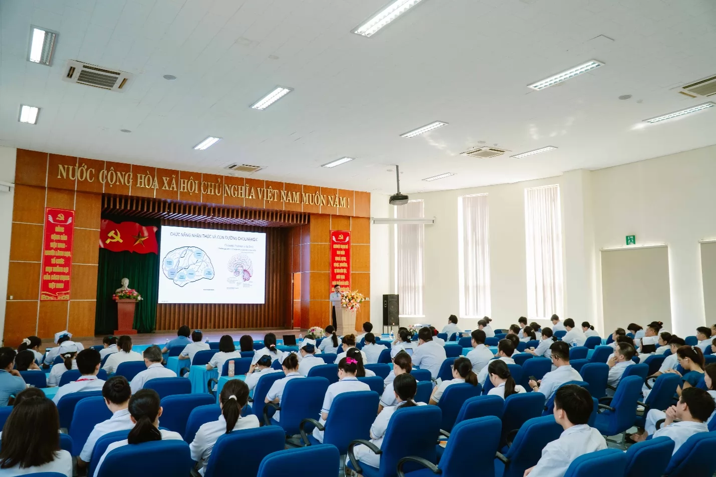 Ảnh minh họa 6