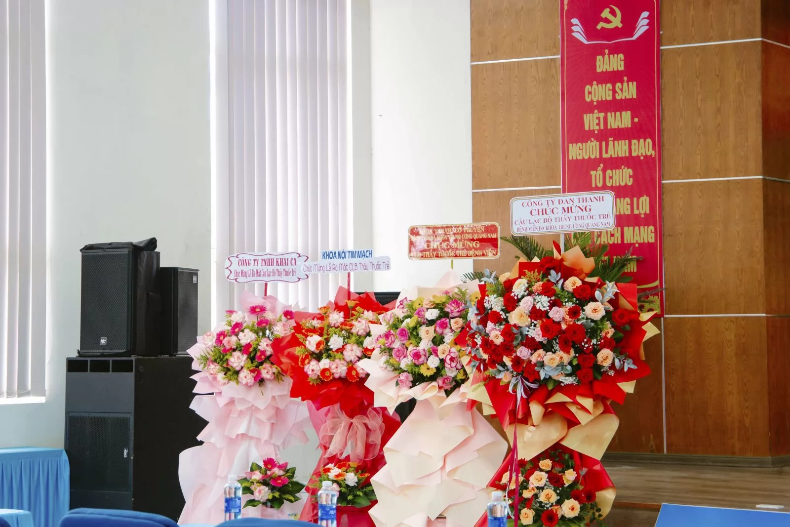 Ảnh minh họa 13