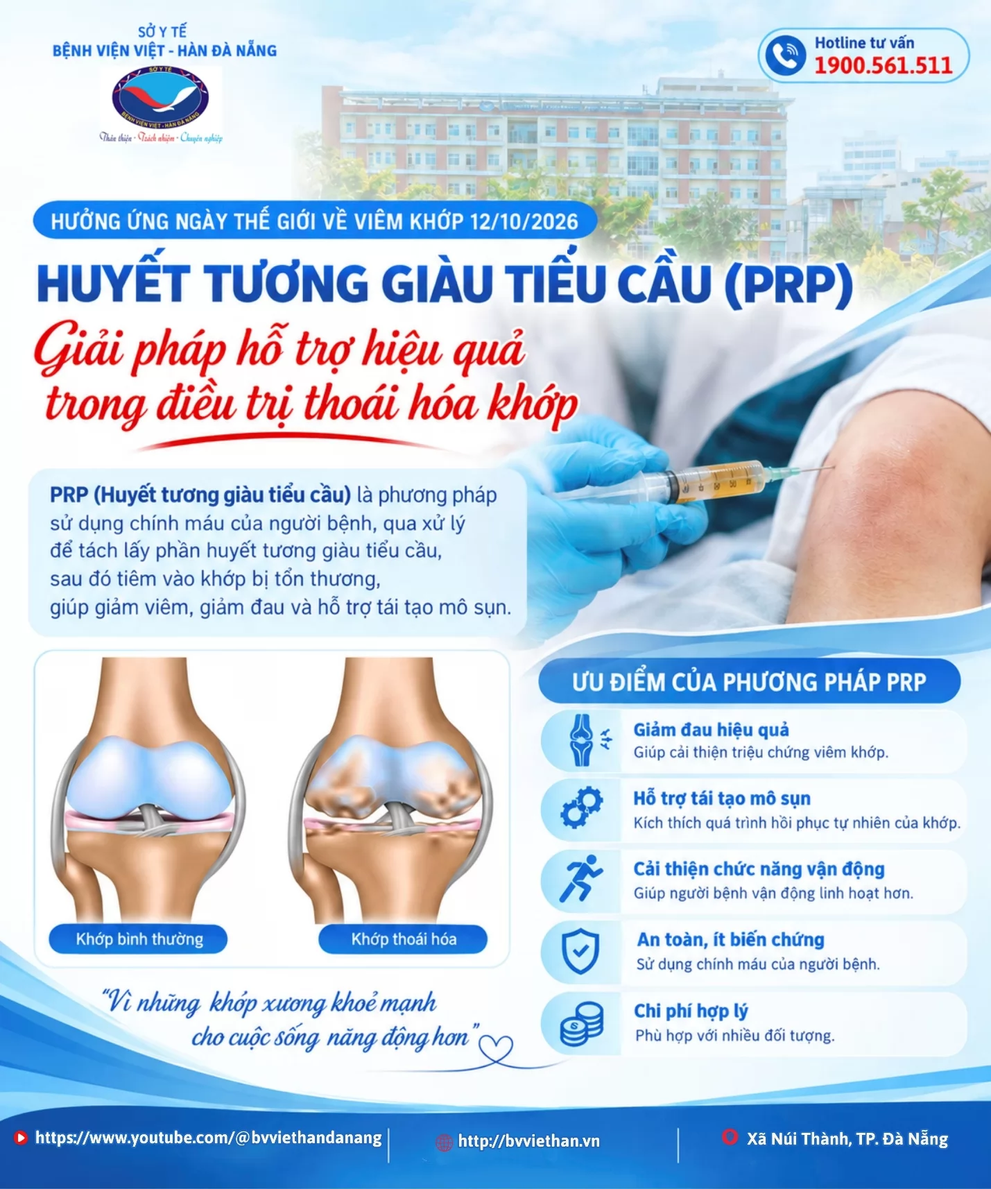 Ảnh minh họa 1