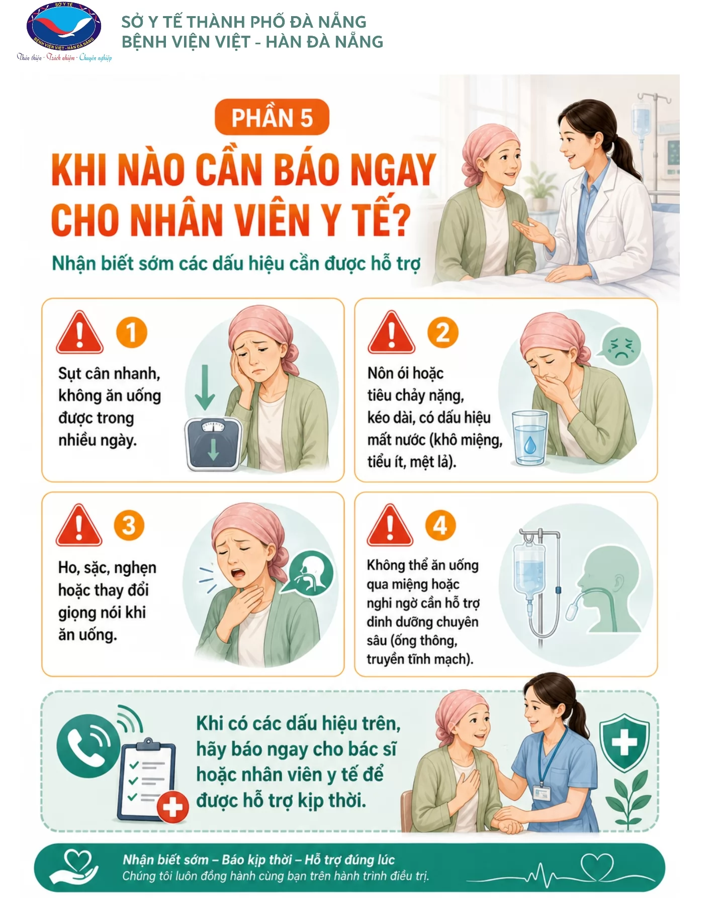 Ảnh minh họa 6