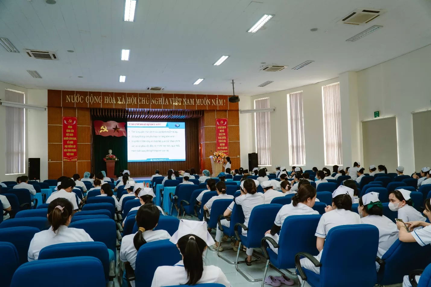 Ảnh minh họa 5