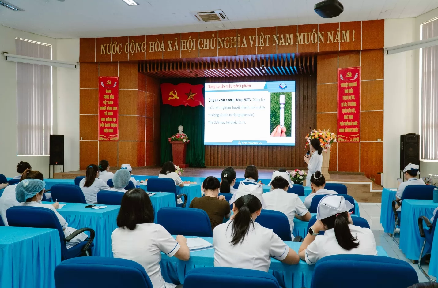 Ảnh minh họa 11