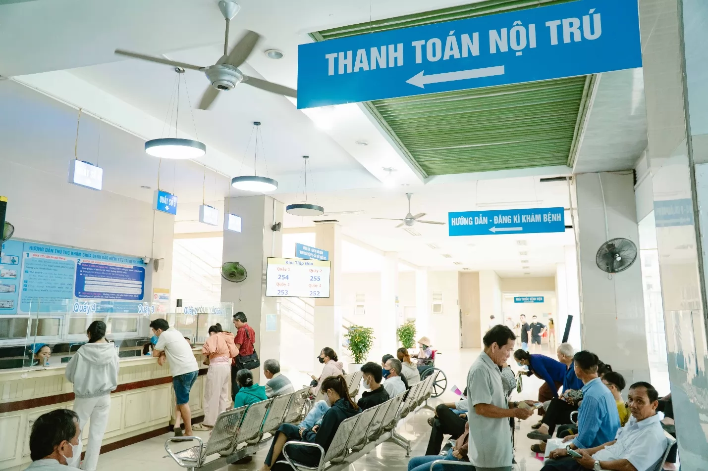Ảnh minh họa 2