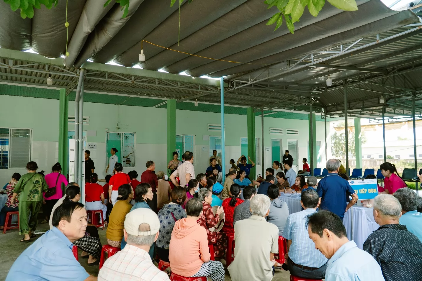Ảnh minh họa 13