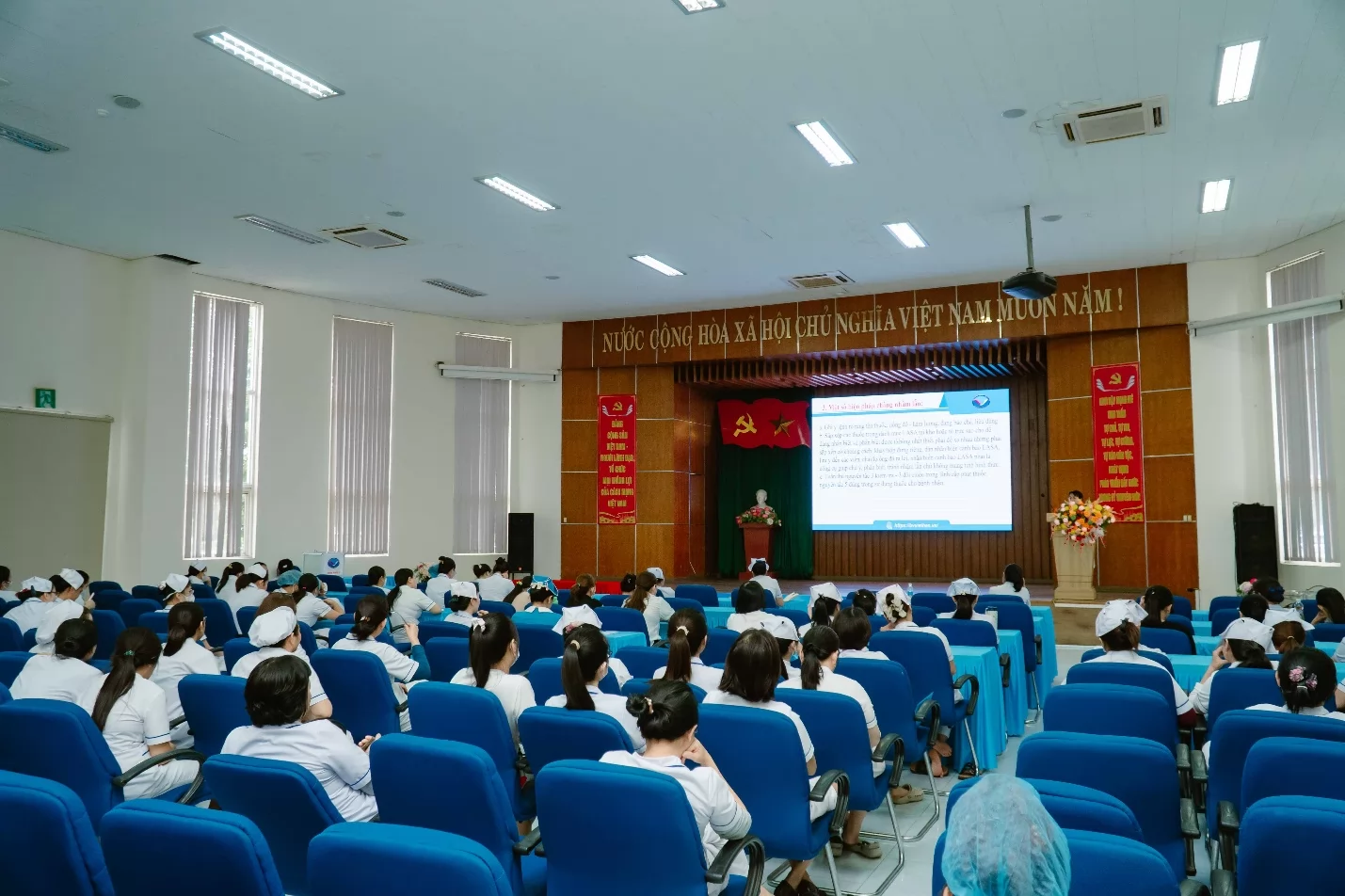 Ảnh minh họa 8