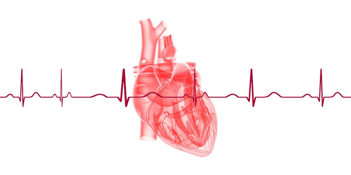 Hình ảnh điện tâm đồ